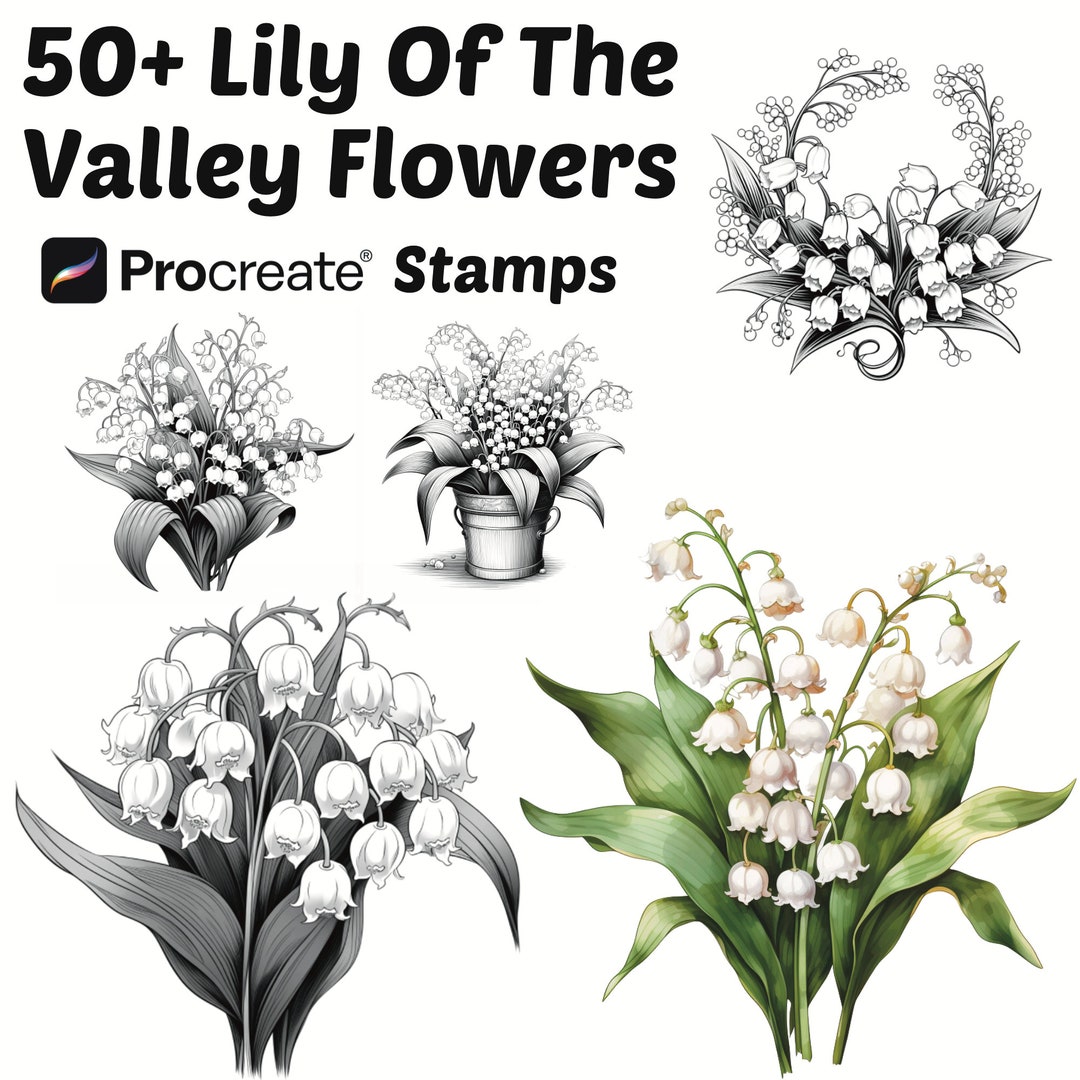 Procreate Lily of the Valley Flower Stamps | 50+ Lily of the Valley ...