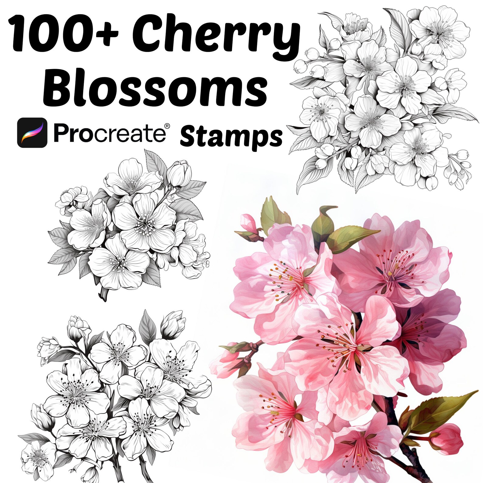 Procreate Cherry Blossom Flower Stamps | 100+ Cherry Blossom Flower ...