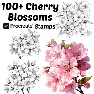 Procreate 桜の花スタンプ | 100 種類以上の桜の花 Procreate ブラシ | 植物 Procreate | 花 Procreate | Procreate
