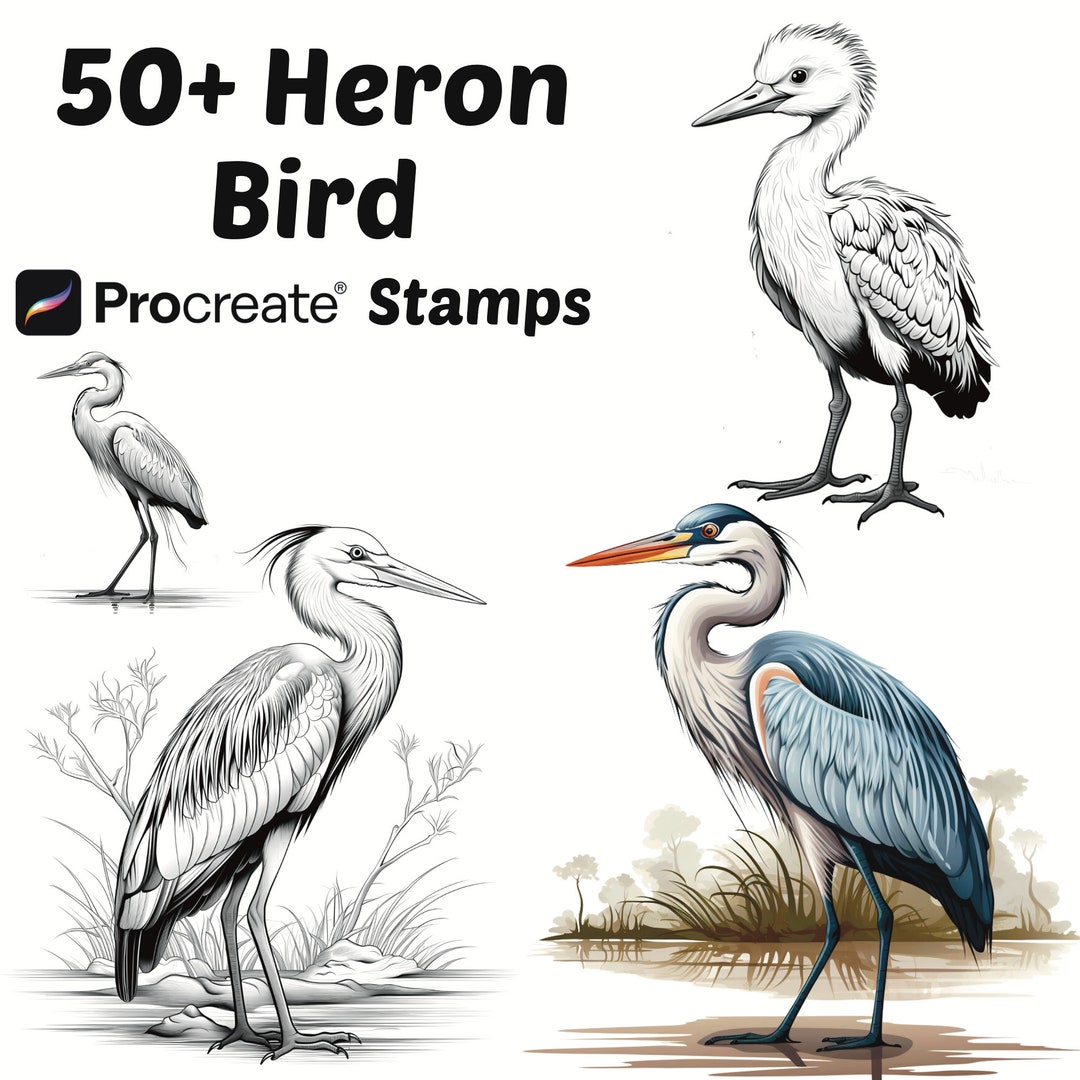 Procreate Animals Stamps | 50+ Heron Bird Procreate Brushes | Animal ...