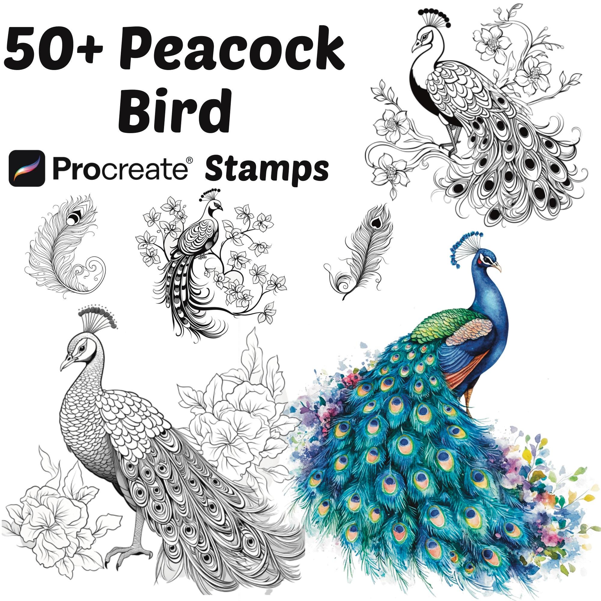 Peacock feather tattoo - Etsy België, image size:2000x2000