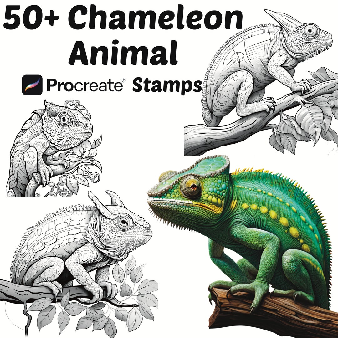 Procreate Animals Stamps | 50+ Chameleon Procreate Brushes | Animal ...
