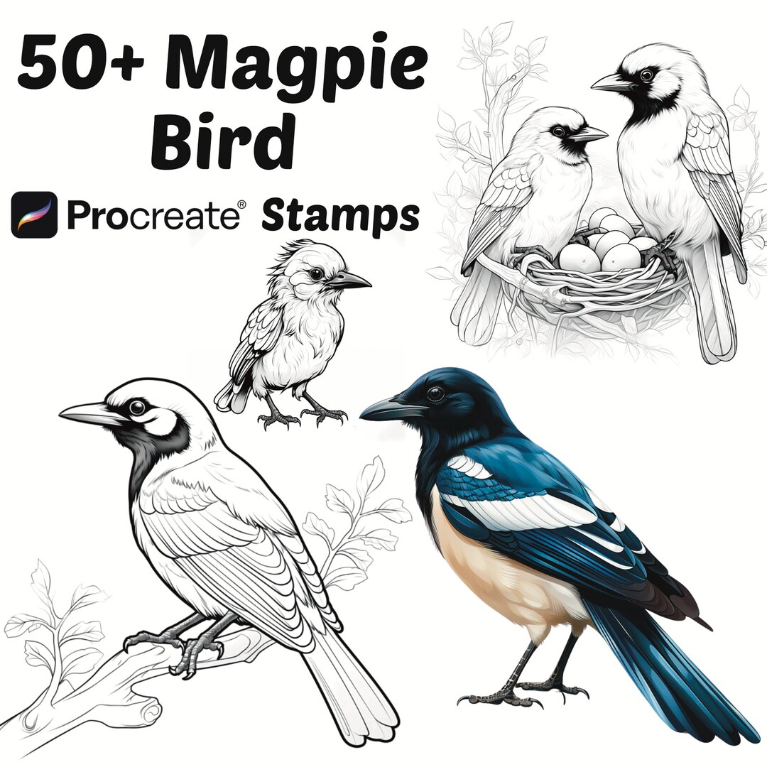 Procreate Animals Stamps | 50+ Magpie Bird Procreate Brushes | Animal ...