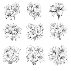 Procreate Amaryllis Flower Stamps | 50+ Amaryllis Flower Procreate ...