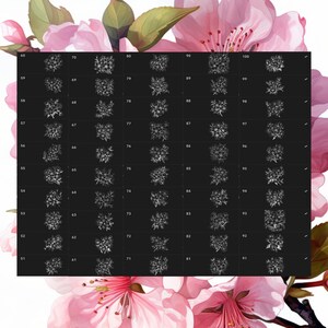 Procreate Cherry Blossom Flower Stamps | 100+ Cherry Blossom Flower ...