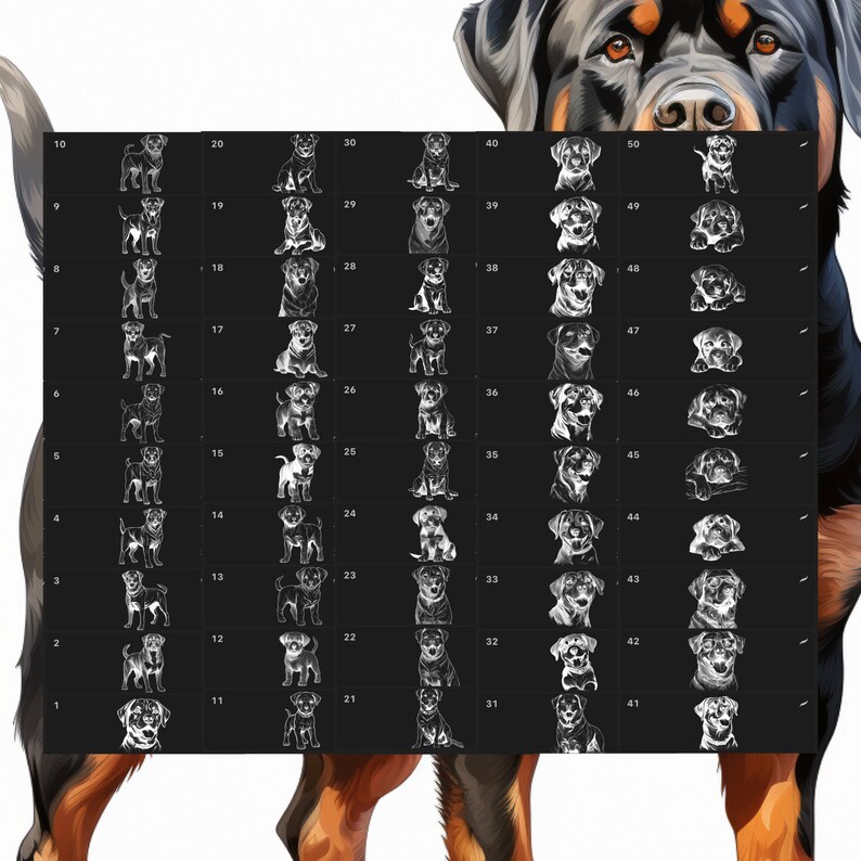 Procreate Rottweiler Dog Animals Stamps | 100+ Dogs Procreate Brushes ...