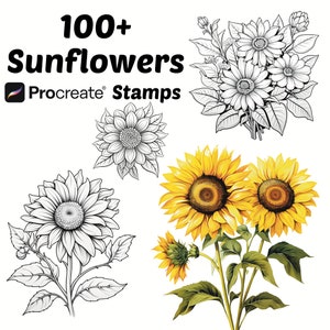 Sellos de girasol procreado / Más de 100 pinceles de procreado de girasol / Procreado botánico / Procreado floral / Sellos de procreado de girasol / Naturaleza