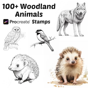 Procreate 動物スタンプ | 100 種類以上の森の動物 Procreate ブラシ | 動物 Procreate ブラシ | フクロウ | クマ | ハリネズミ | 自然 Procreate