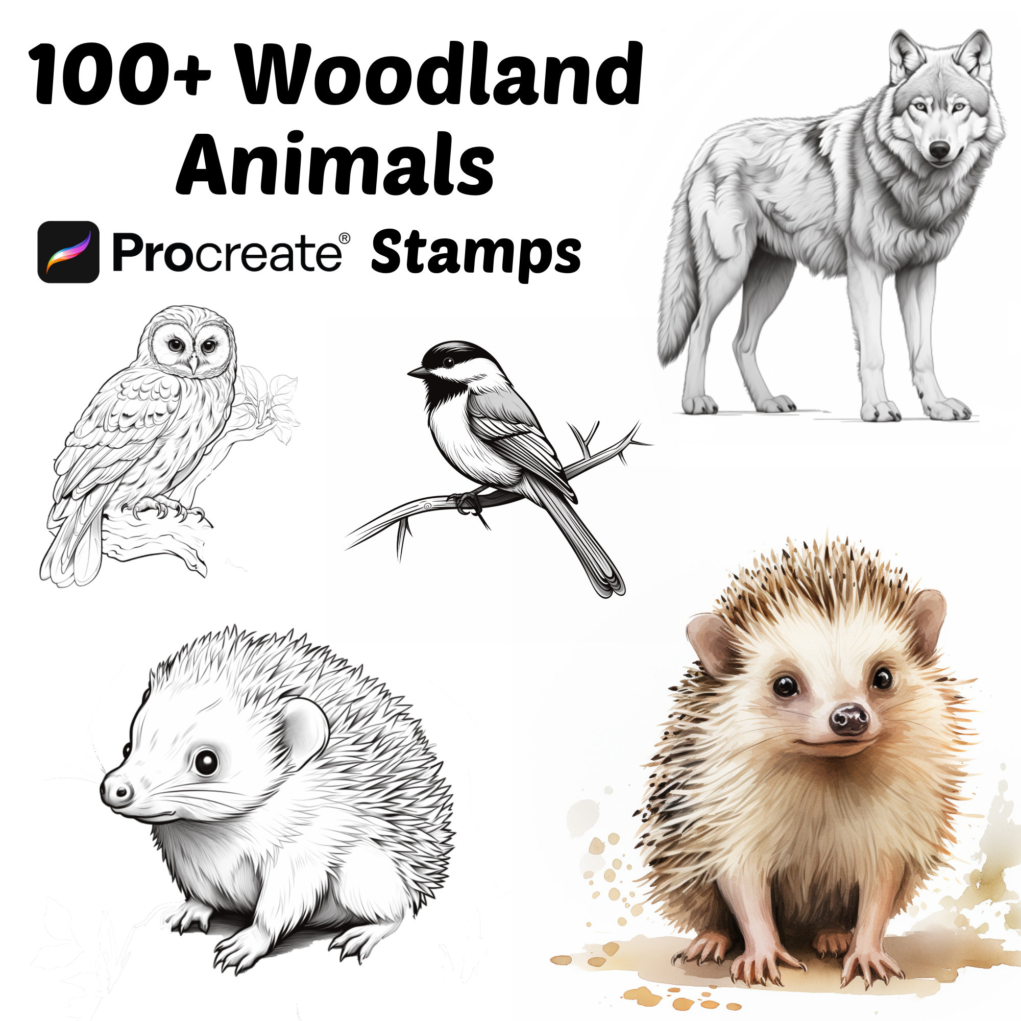 Sellos de animales para Procreate | 100+ Pinceles de animales del bosque | Búho, Oso, Erizo – Set de naturaleza