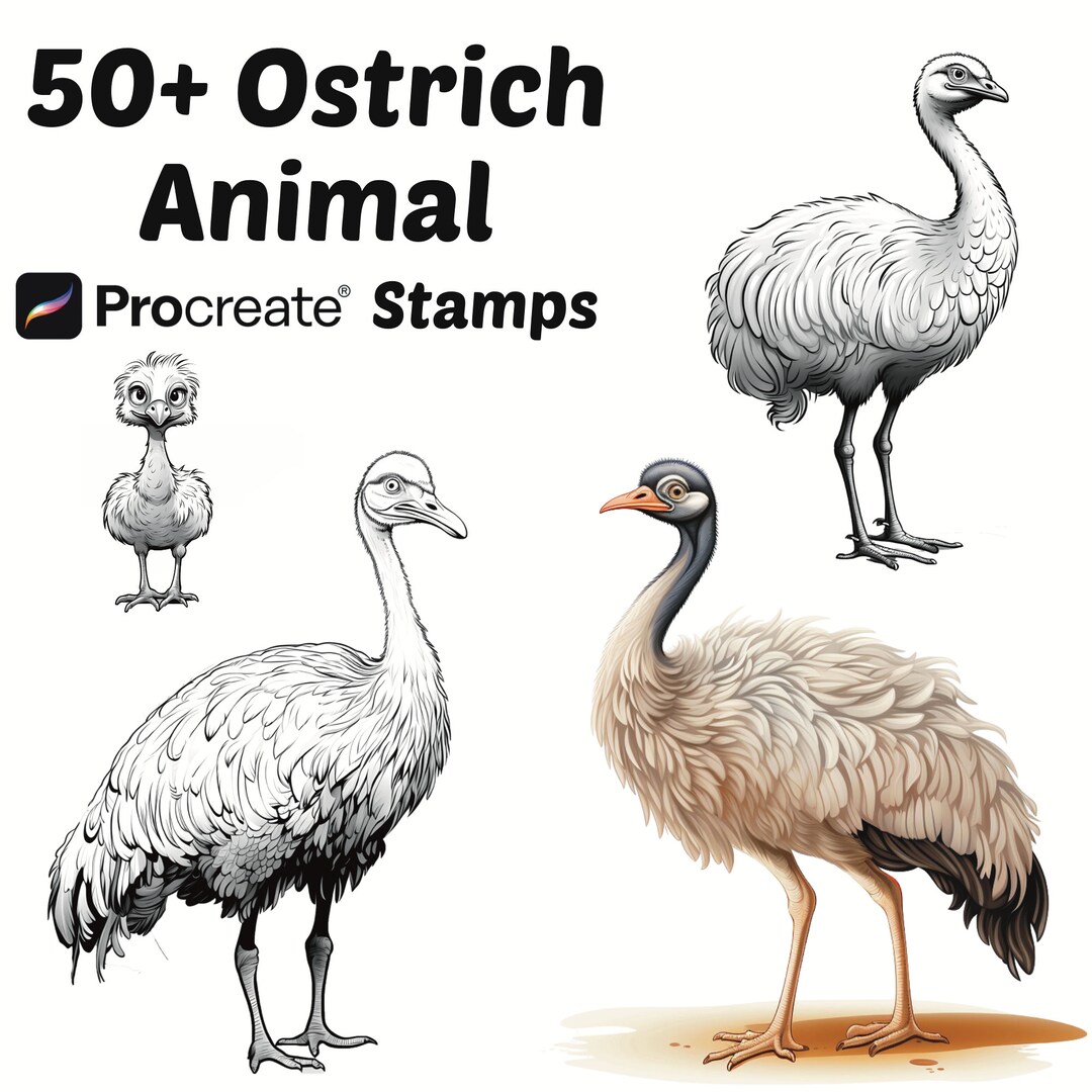 Procreate Animals Stamps | 50+ Ostrich Bird Procreate Brushes | Animal ...