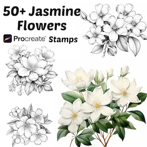 Procreate Jasmine Flower Stamps | 50+ Jasmine Flower Procreate Brushes | Botanical Procreate | Floral Procreate | Jasmine Procreate Stamps