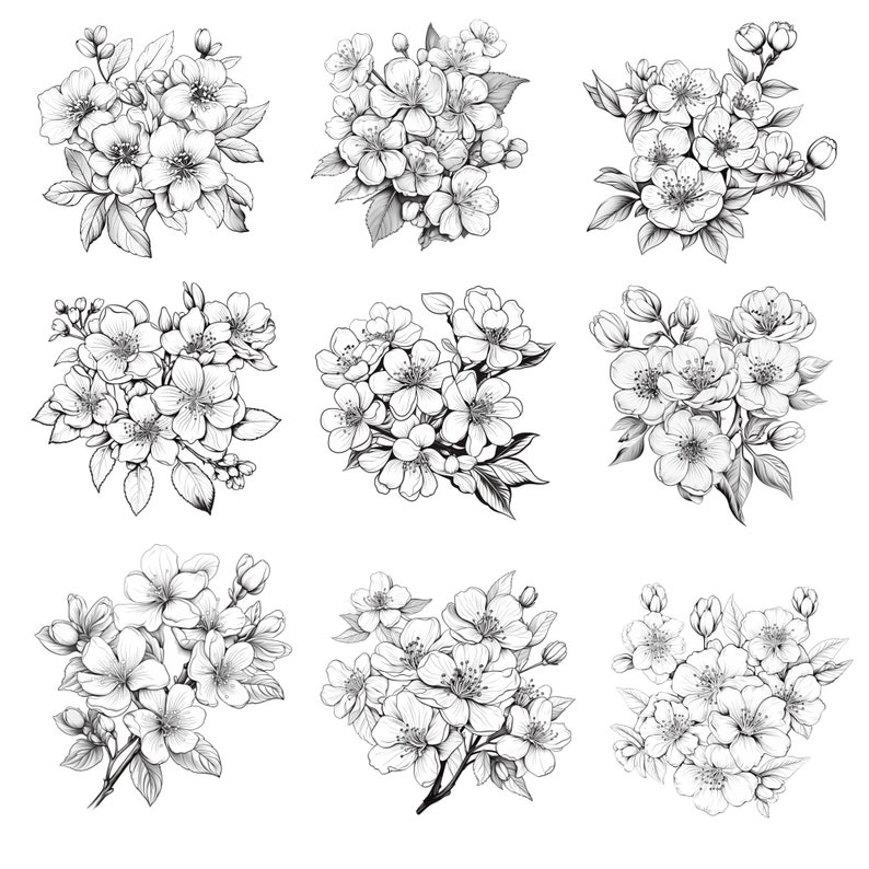 Procreate Cherry Blossom Flower Stamps | 100+ Cherry Blossom Flower ...