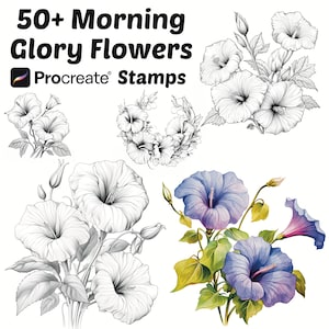 May include: A set of 50+ Procreate stamps featuring black and white line drawings of morning glory flowers, as well as a few coloured illustrations of the flowers.