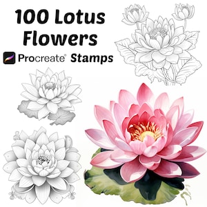 May include: 100 Lotus Flowers Procreate Stamps. A set of digital stamps featuring illustrations of lotus flowers in various styles, including a pink watercolor lotus flower and several black and white line drawings.