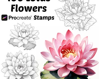 Procreate Lotus Flower Stamps | 100+ Lotus Flower Procreate Brushes | Botanical Procreate | Floral Procreate | Lotus Procreate Brushes