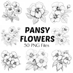 Blumen PNG | 50 Stiefmütterchen Blumen Png | Stiefmütterchen Blumen PNG | Wildblumen PNG | Doodle-Blumen | Blumen ClipArt | Strichzeichnung | Blumenbündel