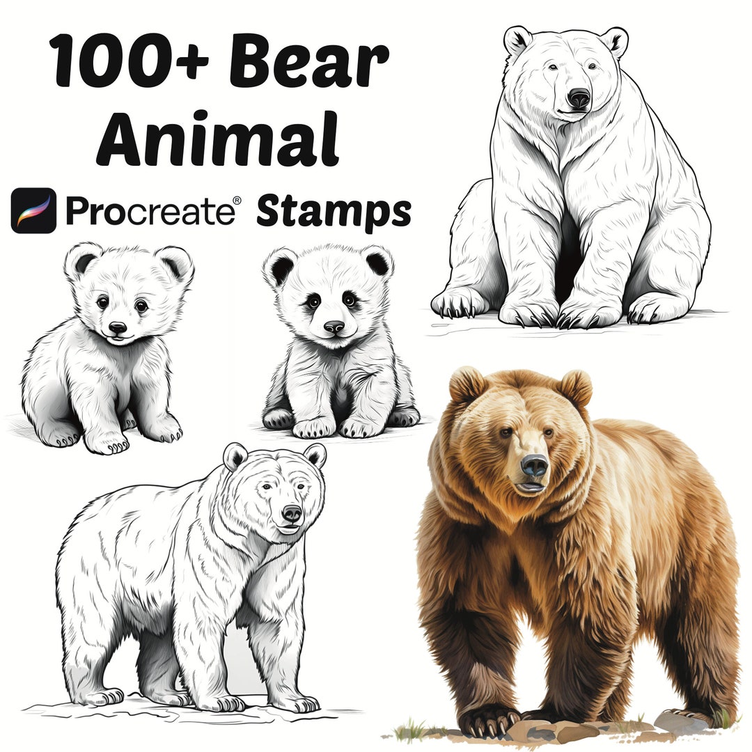 Procreate Animals Stamps | 100+ Bear Procreate Brushes | Animal ...