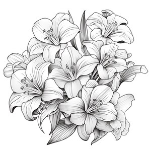 Procreate Amaryllis Flower Stamps | 50+ Amaryllis Flower Procreate ...