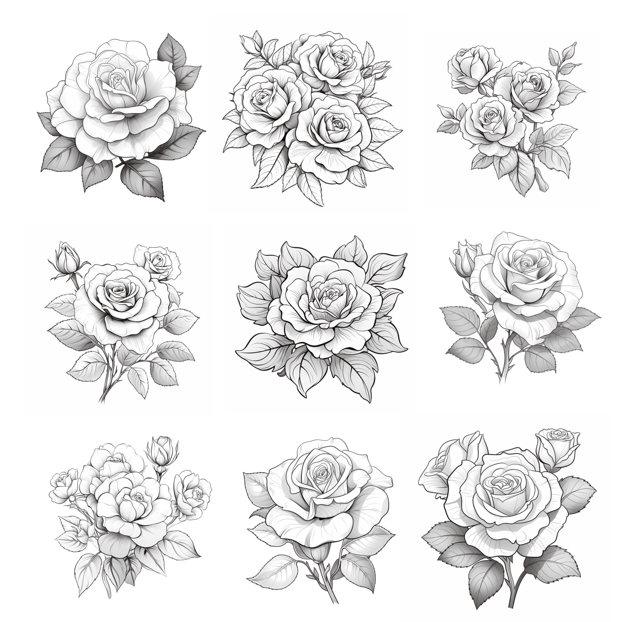 Procreate Rose Flower Stamps | 50+ Rose Flower Procreate Brushes ...