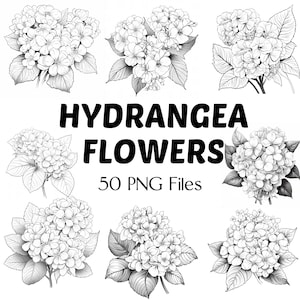 May include: A set of 50 black and white line art illustrations of hydrangea flowers. The illustrations are in a vintage style and would be perfect for use in scrapbooking, card making, or other craft projects.