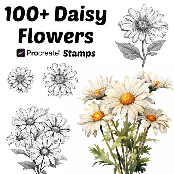 Procreate Daisy Flower Stamps | 100+ Daisy Flower Procreate Brushes | Botanical Procreate | Floral Procreate | Daisy Floral Procreate Stamps