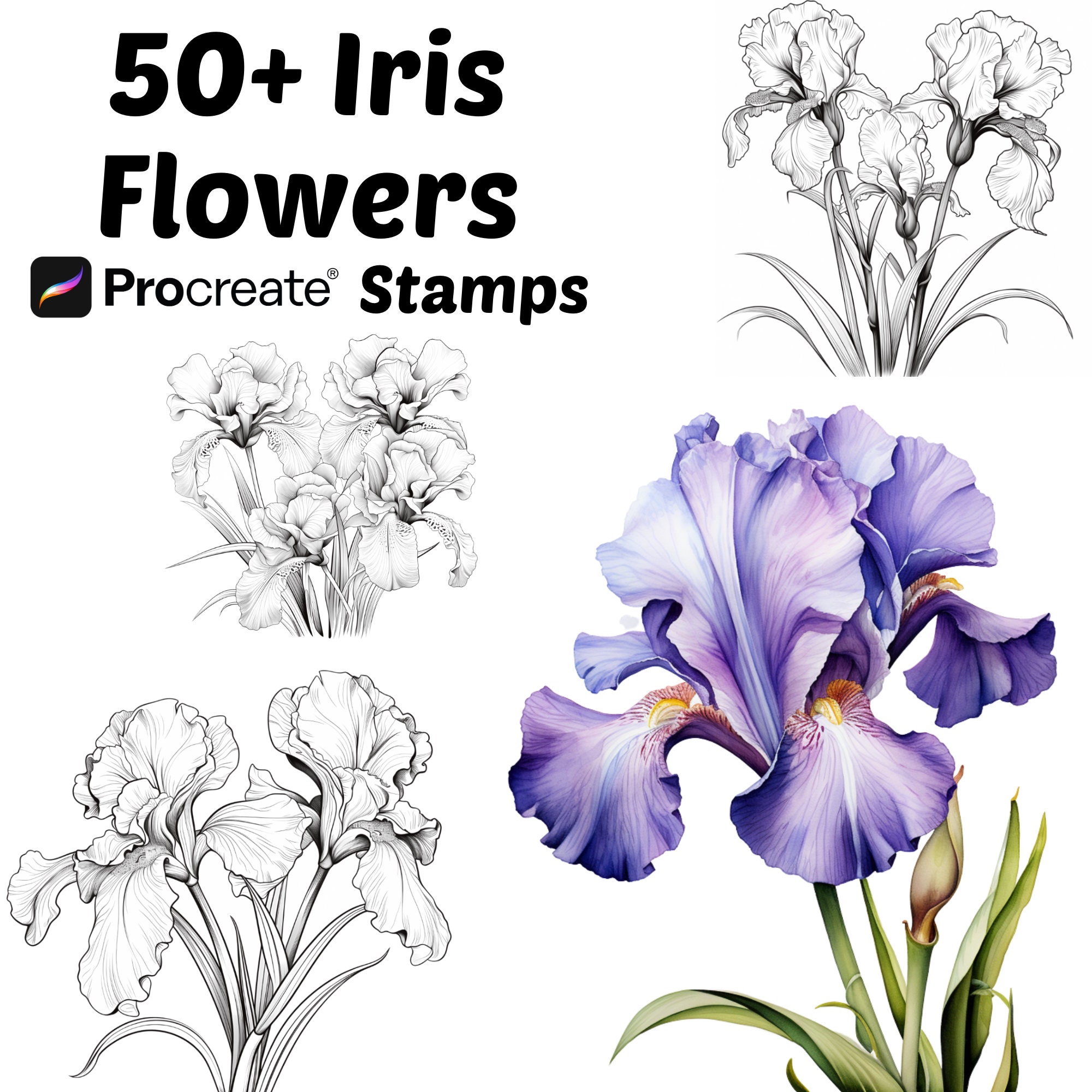Procreate Iris Flower Stamps & Brushes | 50+ Botanical Floral Procreate Stamps