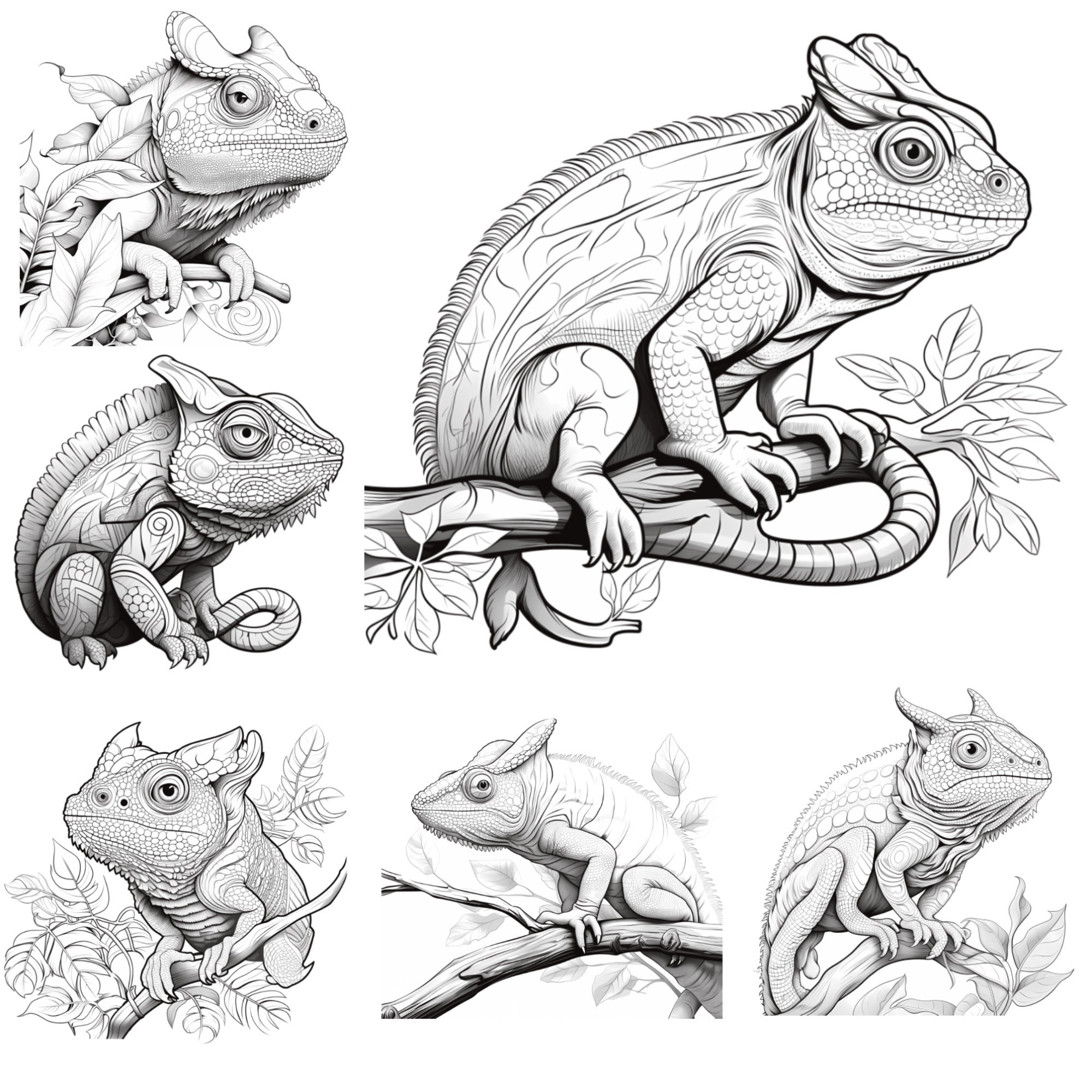 Procreate Animals Stamps | 50+ Chameleon Procreate Brushes | Animal ...