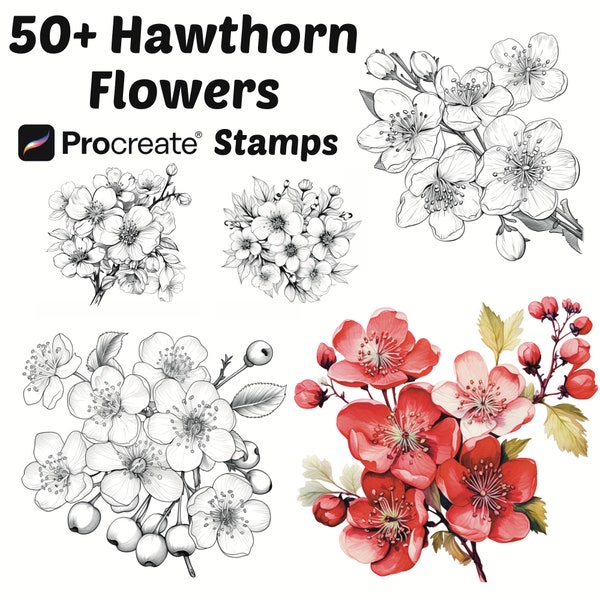 Procreate Hawthorn Flower Stamps | 50+ Hawthorn Flower Procreate Brushes | Botanical Procreate | Floral Procreate | Nature Procreate