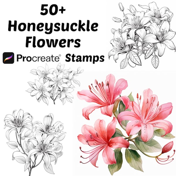 Procreate Honeysuckle Flower Stamps | 50+ Honeysuckle Flower Procreate Brushes | Botanical Procreate | Floral Procreate | Procreate