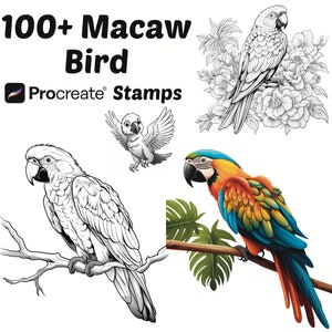 Procreate Animals Stamps | 100+ Macaw Bird Procreate Brushes | Animal Procreate Brushes | Nature Procreate Brushes | Birds Procreate Stamps
