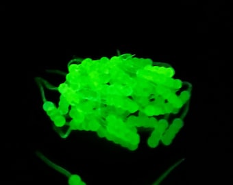 UV glow in the dark wigglers 50 pack
