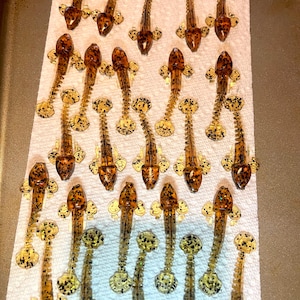 2 1/2” Goby drop shot bait…..10 pack