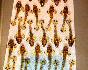 2 1/2” Goby drop shot bait…..10 pack