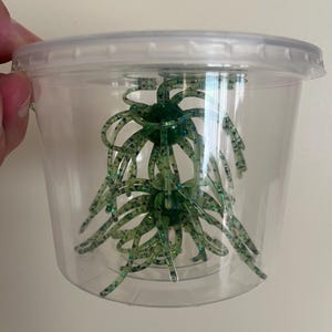 May include: A clear plastic container holding two green fishing lures. Each lure features a round central body with multiple long, thin, flexible tentacles extending outward. The green material is translucent and contains small, reflective blue glitter flecks.