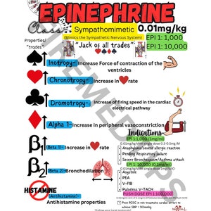Carte de médicaments paramédicaux imprimable Fichier PDF pharmacologie pour les étudiants paramédicaux Guide d'étude paramédic Cartes d'étude Fichier PDF médical Matériel d'étude
