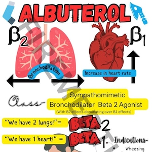 Könnte beinhalten: Eine farbenfrohe Illustration, die die Auswirkungen von Albuterol, einem Beta-2-Agonisten-Bronchodilatator, erklärt. Die Illustration zeigt ein Herz und Lungen mit Pfeilen, die die Auswirkungen des Medikaments anzeigen. Der Text enthält die Sätze "Wir haben 2 Lungen!" und "Wir haben 1 Herz!" sowie eine Hai-Flossen-Wellenform und den Text "Wheeze..."