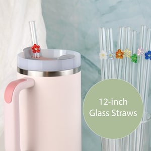 Può includere: Una tazza da viaggio in acciaio inossidabile rosa con manico e coperchio. La tazza è accanto a un set di cannucce di vetro da 30,5 cm con cime a forma di fiore colorate. Il testo "12-inch Glass Straws" è scritto su un cerchio verde.
