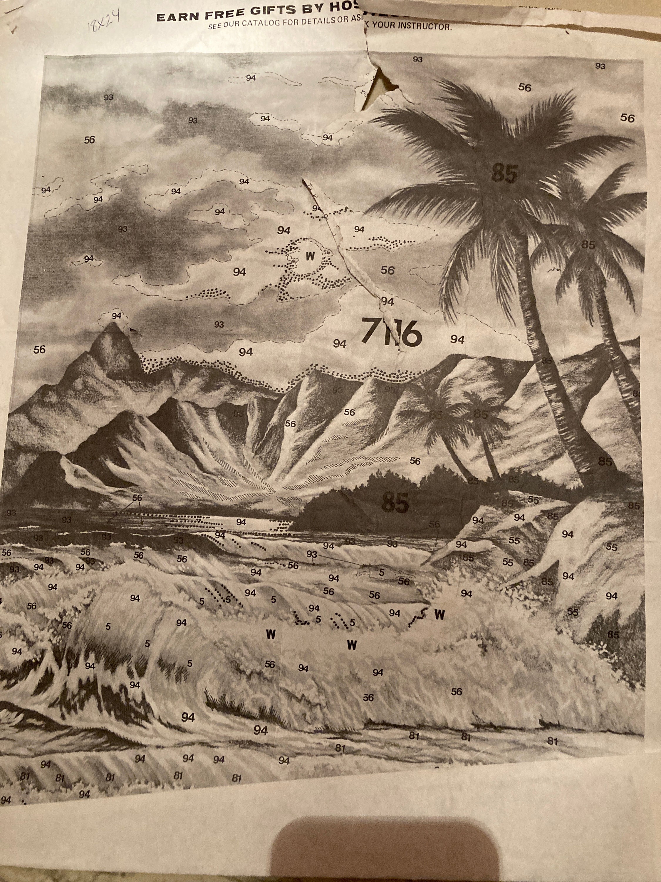 Vintage Tri Chem Tropical Moonlight Preshaded 24x18 Picture Printed on ...