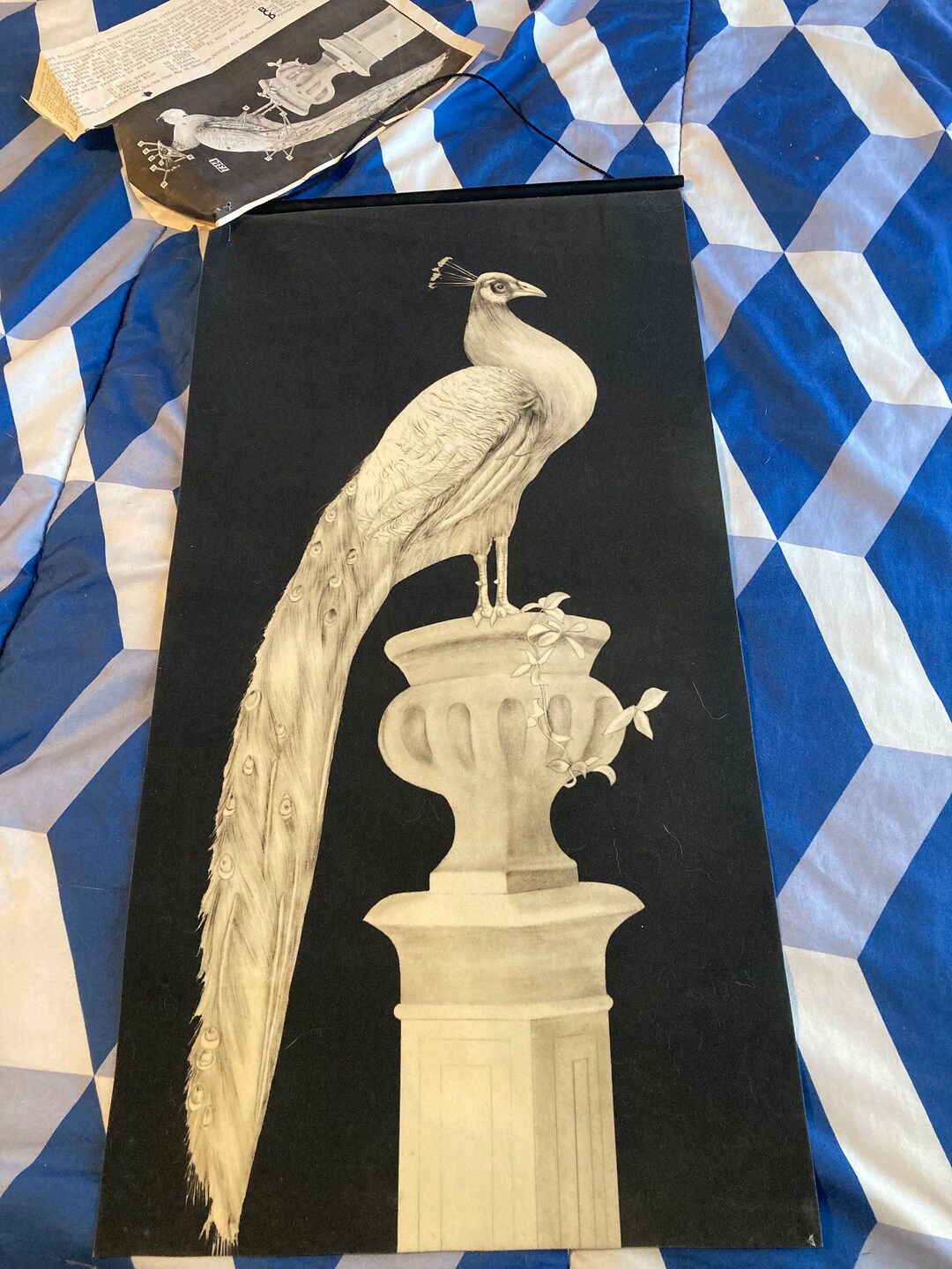 Vintage Trichem Proud Peacock on Black Suede Etsy