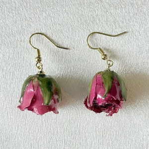 Deep Pink Rose Bud Drop Earrings, Preserved Botanical Flower Jewelry, S925 Sterling Silver Hooks
