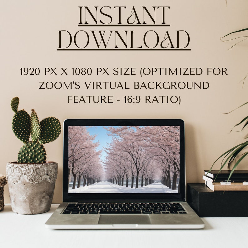 Professional Virtual Backgrounds for Zoom Zoom Call Scenery - Etsy