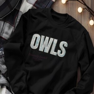 May include: Black sweatshirt with the word "OWLS" in large, white, textured letters across the front. Below the word "OWLS" is the text "Brazenly Envied" in a smaller, cursive font. The sweatshirt is on a wooden surface.
