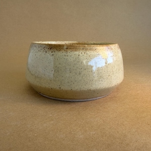 May include: A speckled, ceramic bowl with a rounded shape. The bowl has a light tan colour with darker brown speckles and a darker brown rim. The bowl is sitting on a tan surface.