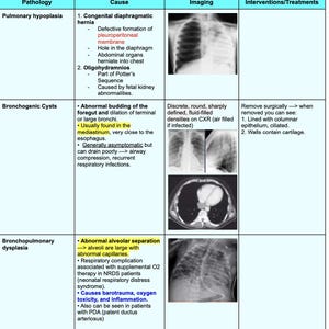 High-yield longpathologiegrafiek voor studenten geneeskunde | Stap 1 en stap 2 Studiehulp | Cheatsheets digitaal downloaden