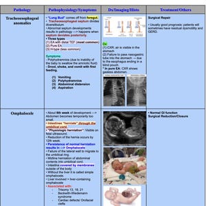 Grafiek met hoge opbrengst nier-gastro-enterologie voor studenten geneeskunde | Stap 1 en stap 2 Studiehulp | Cheatsheets digitaal downloaden