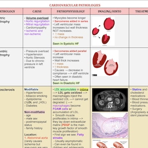 Grafiek voor pathologie met hoge opbrengst cardiologie voor studenten geneeskunde | Stap 1 en stap 2 Studiehulp | Cheatsheets digitaal downloaden