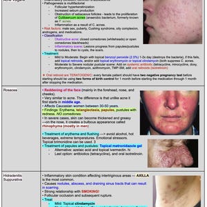 Grafiek voor pathologie met hoge opbrengst dermatologie voor studenten geneeskunde | Stap 1 en stap 2 Studiehulp | Cheatsheets digitaal downloaden