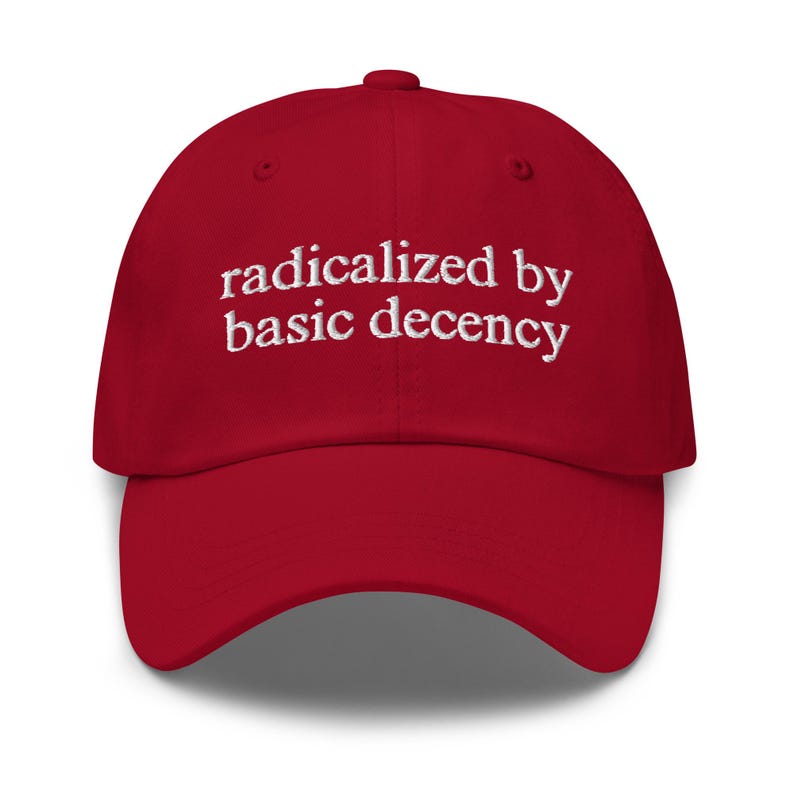 Radicalized by Basic Decency Hat – Embroidered Dad Hat Funny Political Gift, Morality Hat, Chill Protest Hat, Cotton Adjustable Baseball Cap image 6
