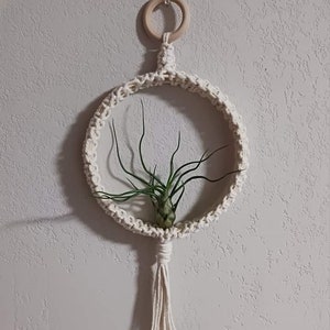 8 Inch Handmade Macrame air plant hanger (with air plant)