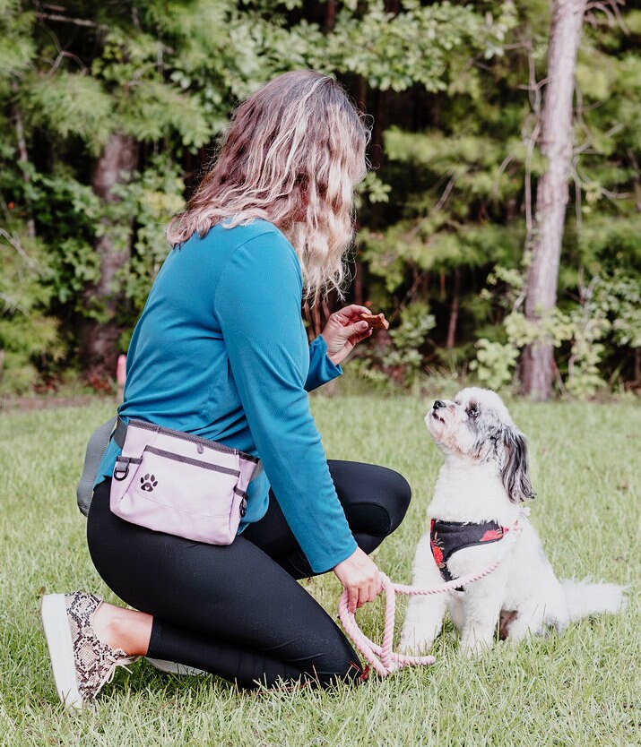 Poop Bag Dispenser Best Dog Training Pouch Treat Pouches For Pet